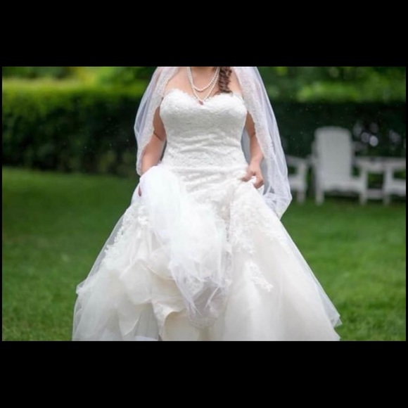 Essence of Australia Wedding Dress - Picture 3 of 11